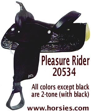 20534 Pleasure