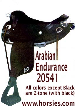 Arabian Endurance 20541
